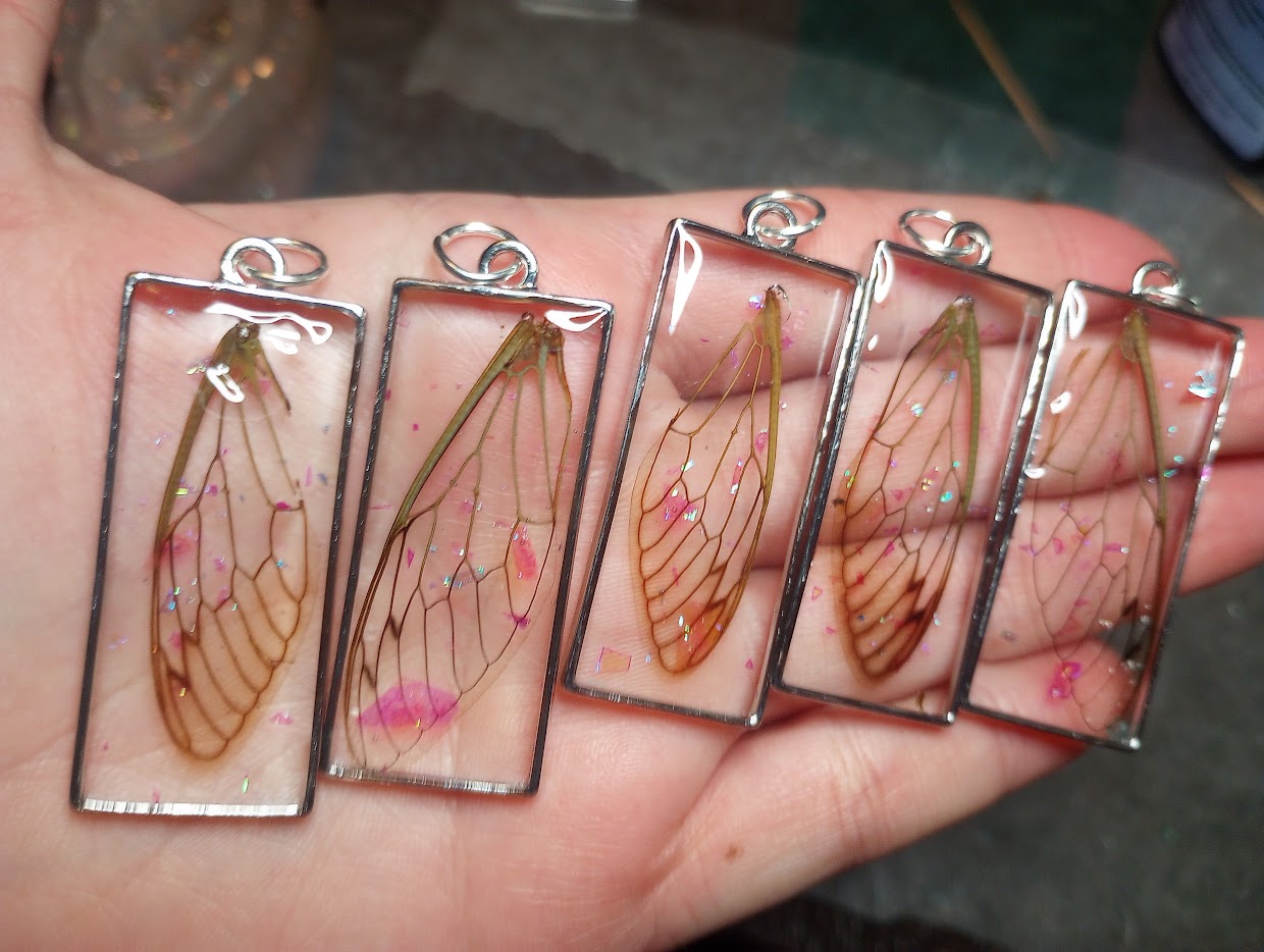 Cicada Wing Necklace