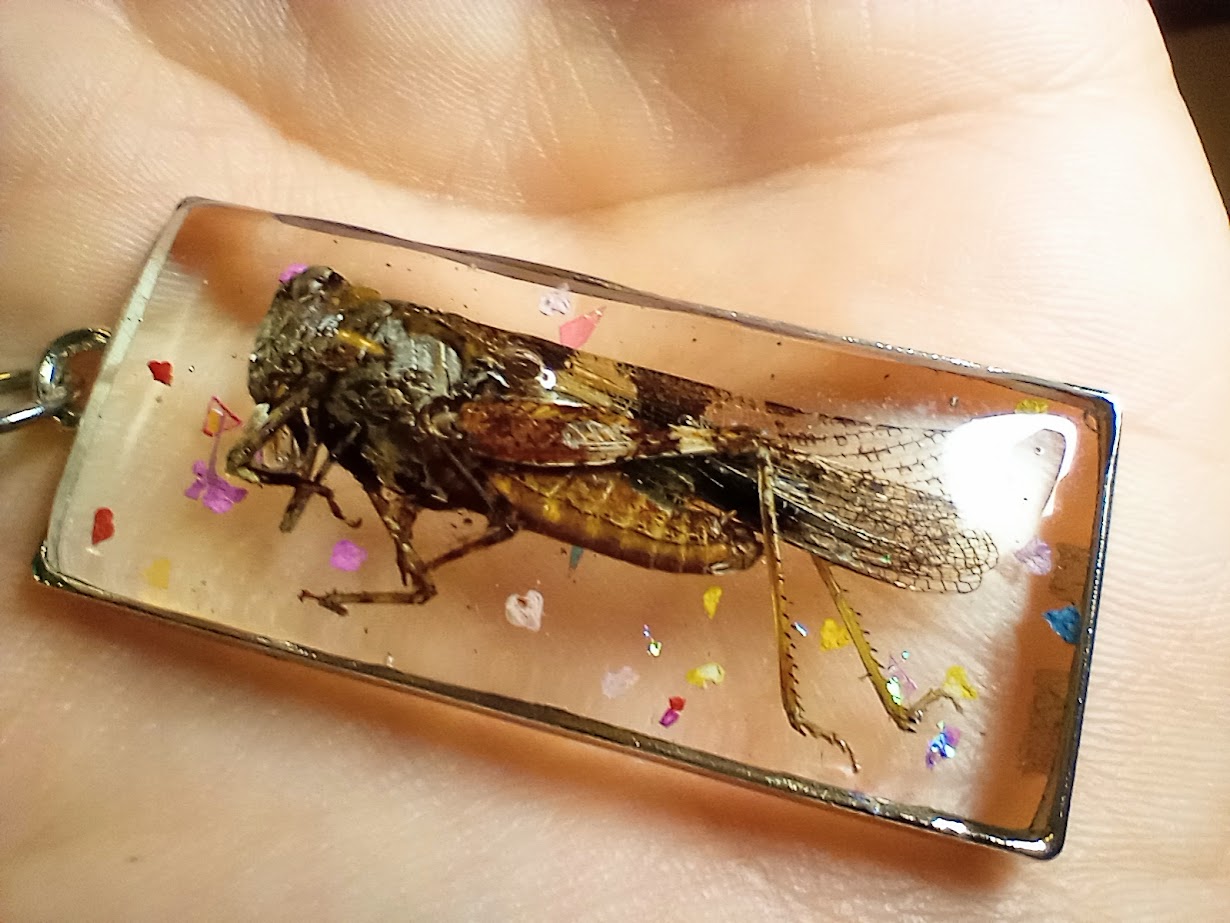 Confetti Grasshopper Necklace