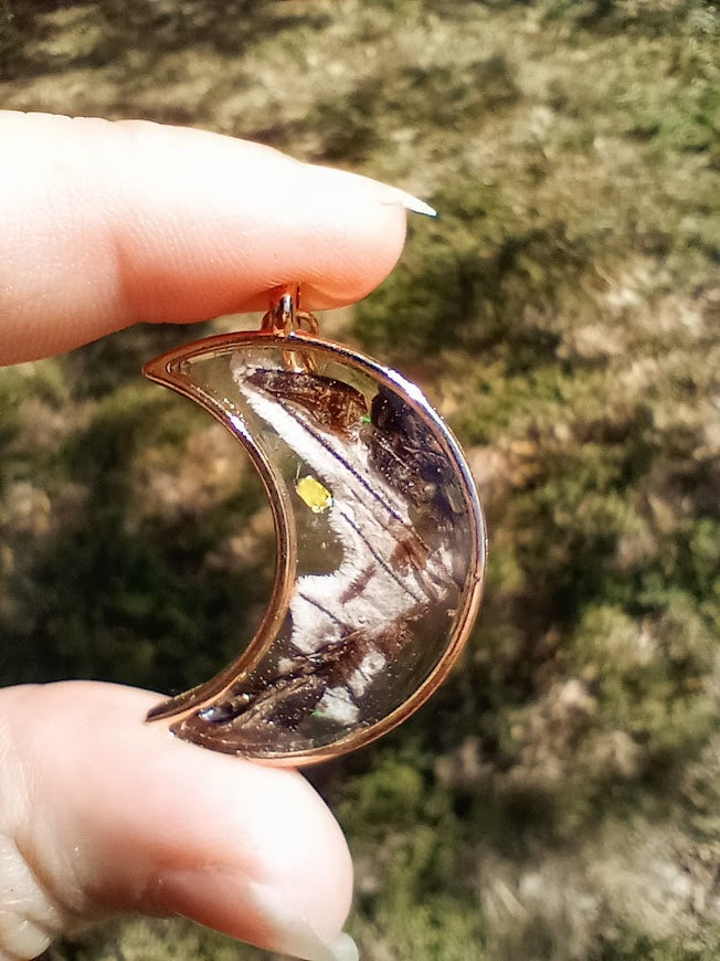 Zebra Swallowtail Butterfly Moon