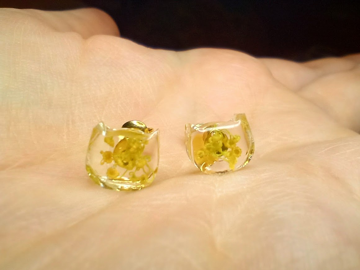 Dill Flower Cat Studs