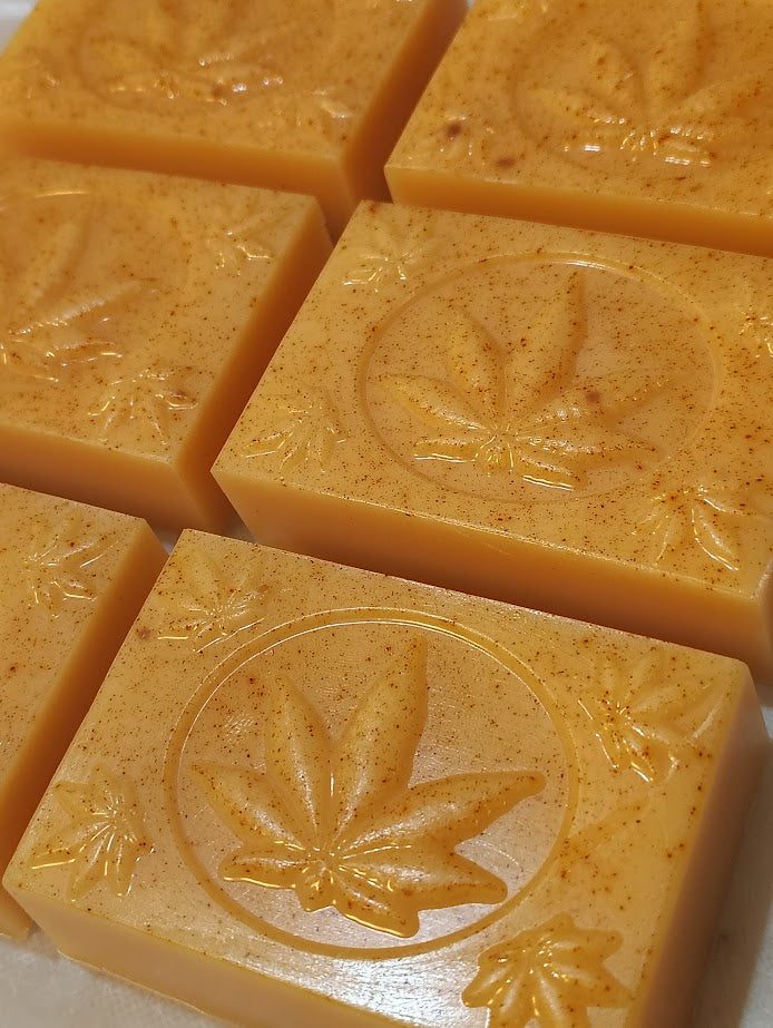 Olive Oil + Hemp Shea Butter Bar