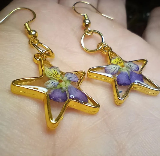 Pansy Star Earrings