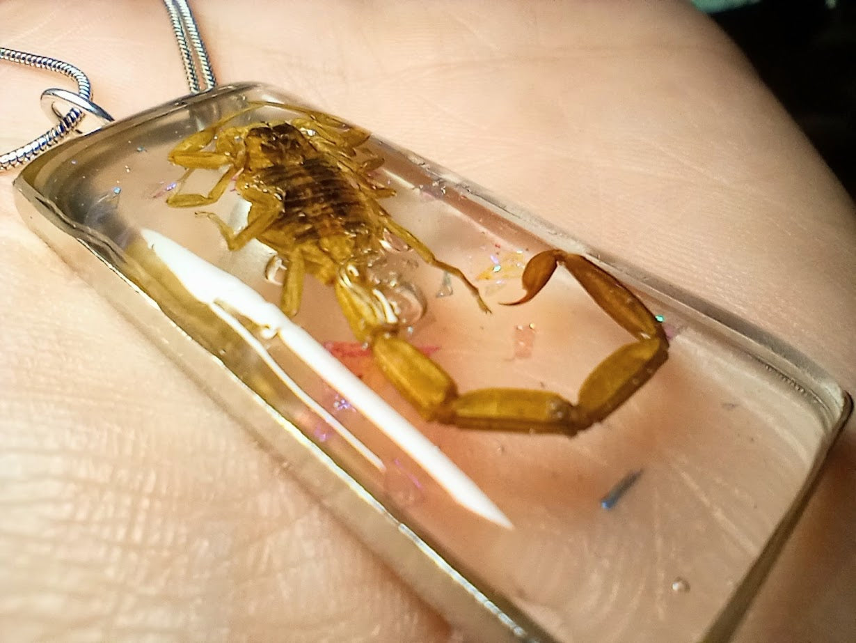 Scorpion Necklace