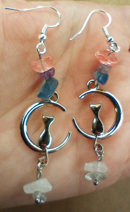 Bi Pride Cat Moon Earrings