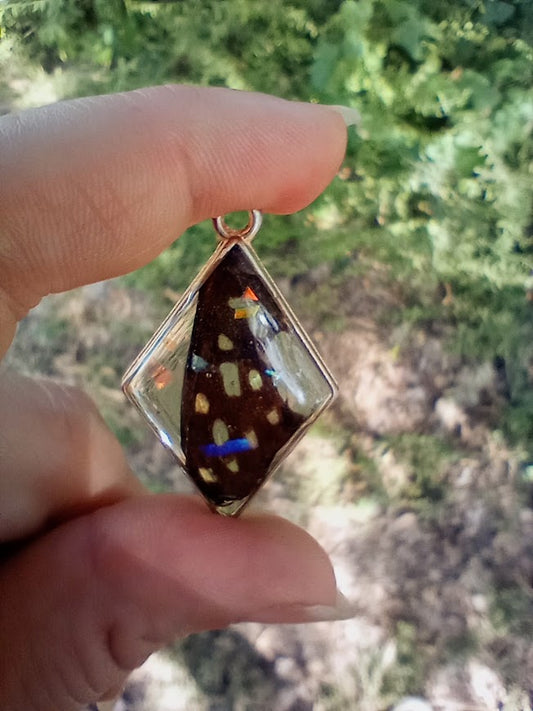 Blue Swallowtail Butterfly