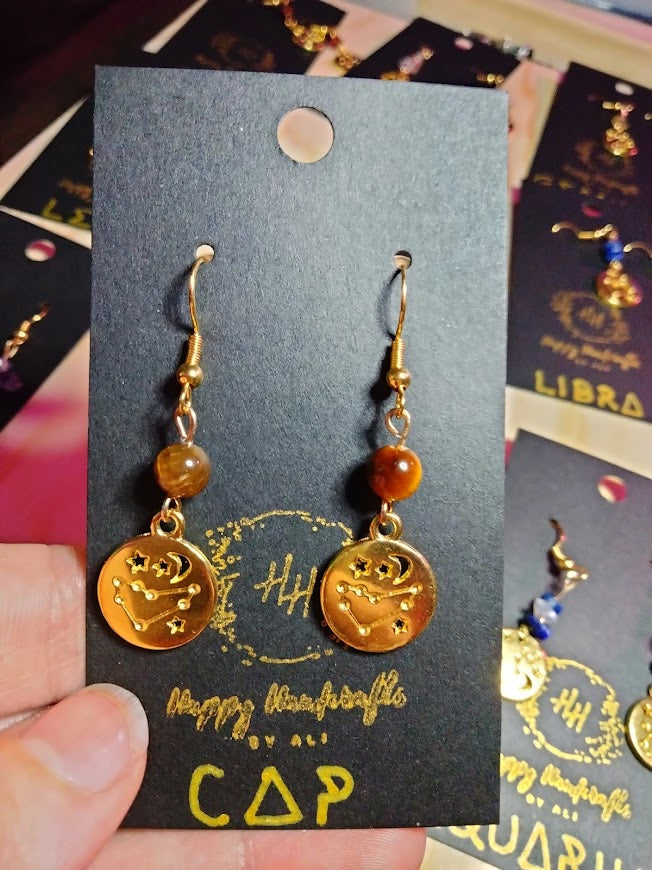 Capricorn Zodiac Earrings