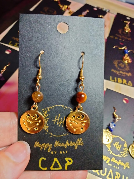 Capricorn Zodiac Earrings
