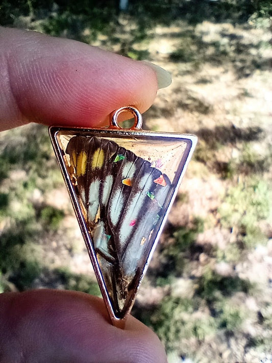 Dainty Swallowtail Butterfly