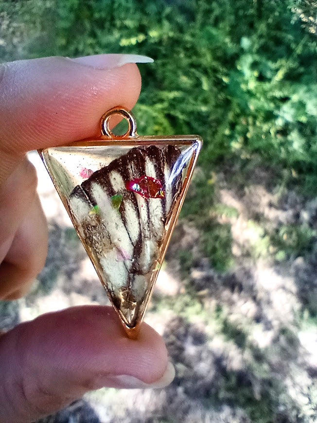 Dainty Swallowtail Butterfly