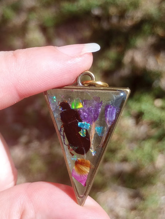 Forget Me Not Beetle