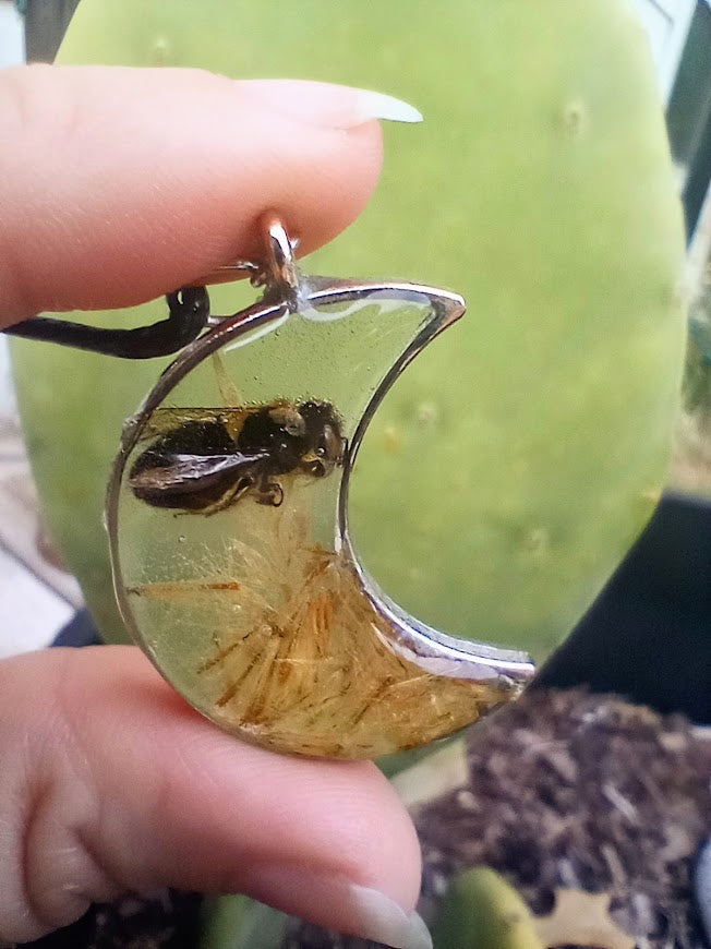 Moon Bee