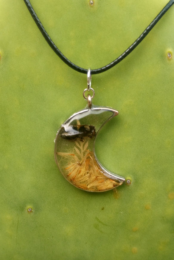 Moon Bee