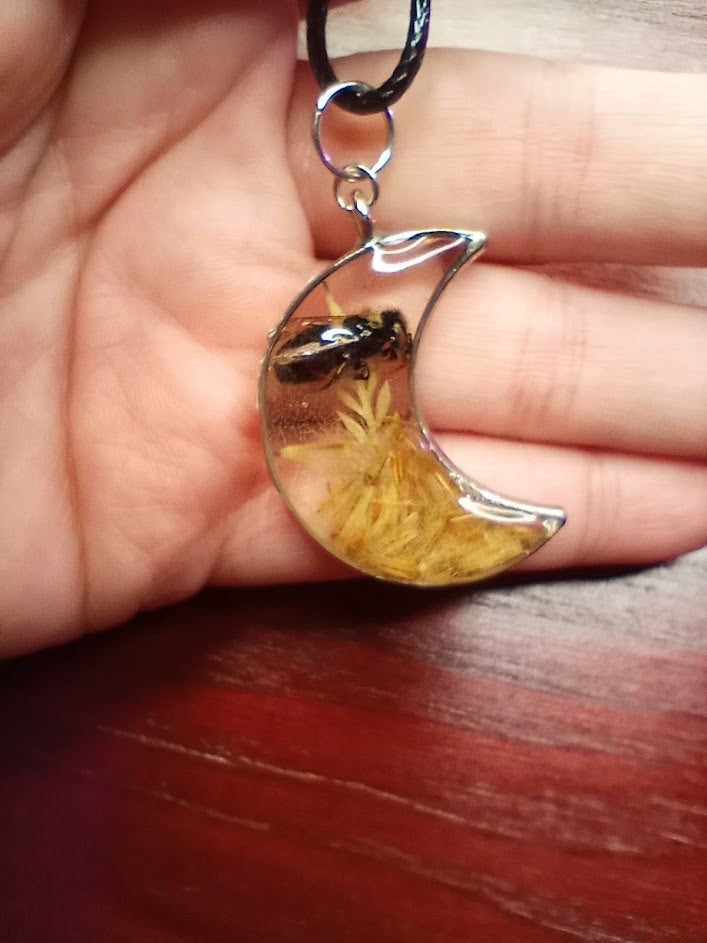 Moon Bee