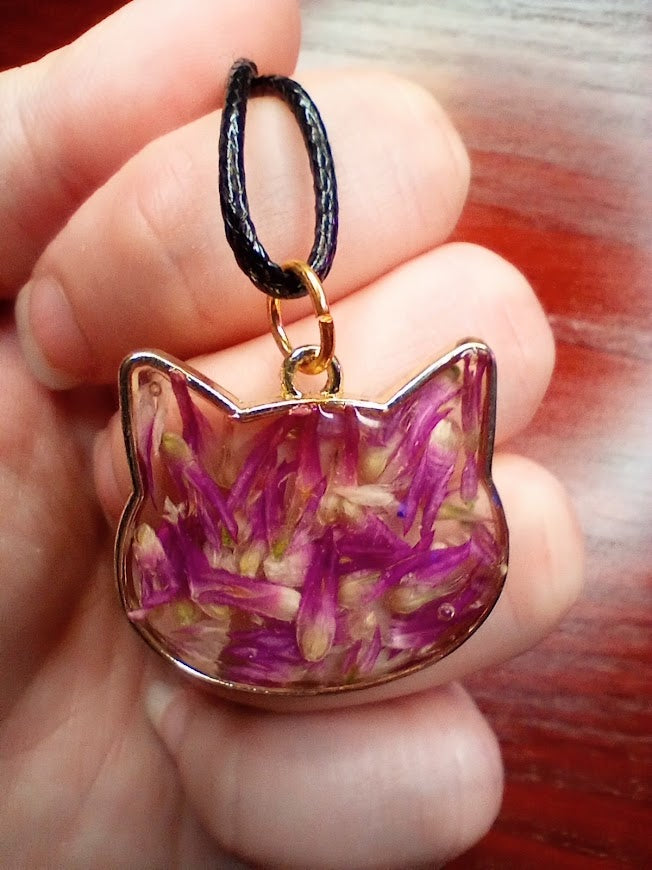 Pretty in Pink Kitty