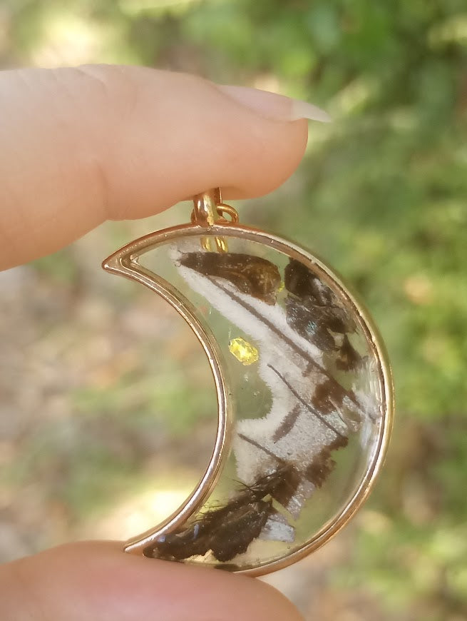 Zebra Swallowtail Butterfly Moon