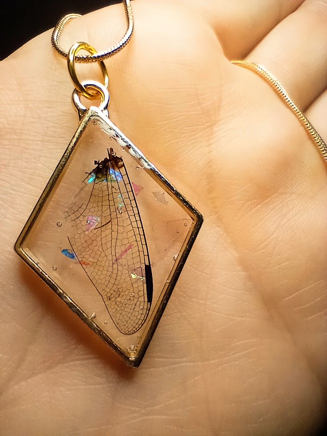 Dragonfly Wing