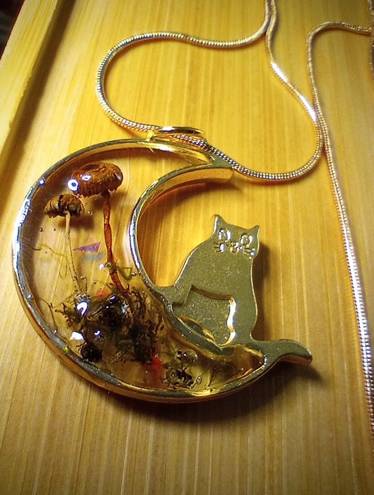 Mushroom Moss Kitty Moon
