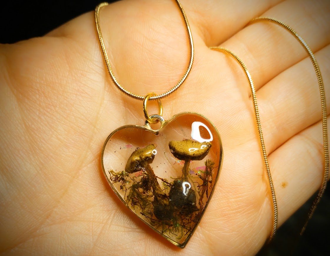 Mushroom Love